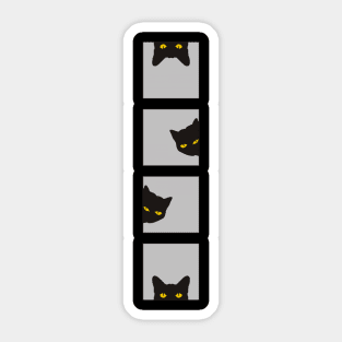 Cat Peeking Sticker